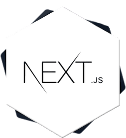 skill image - Next js 13
